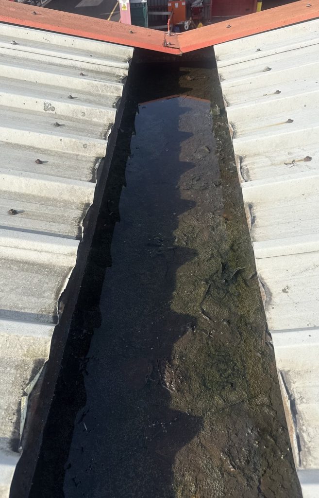 Steel valley gutter with moss and standing water on warehouse roof